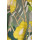 product color